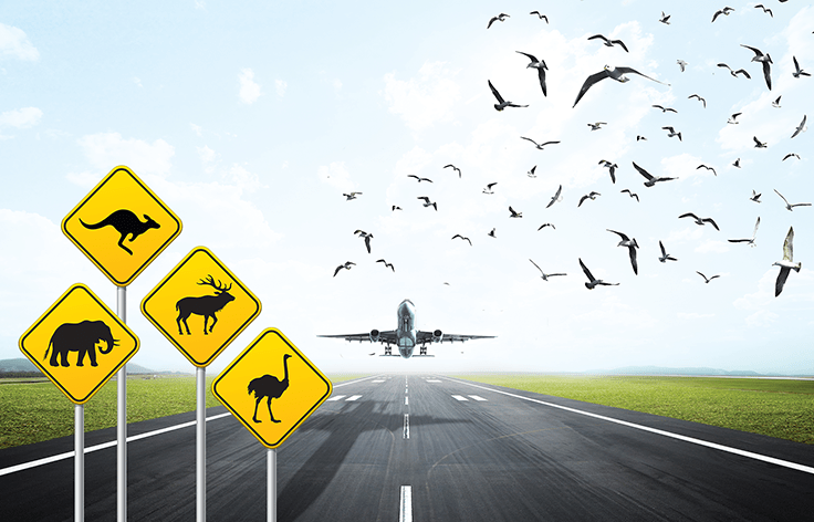 ICAO/ACI Wildlife Strike Hazard Reduction&nbsp;Symposium